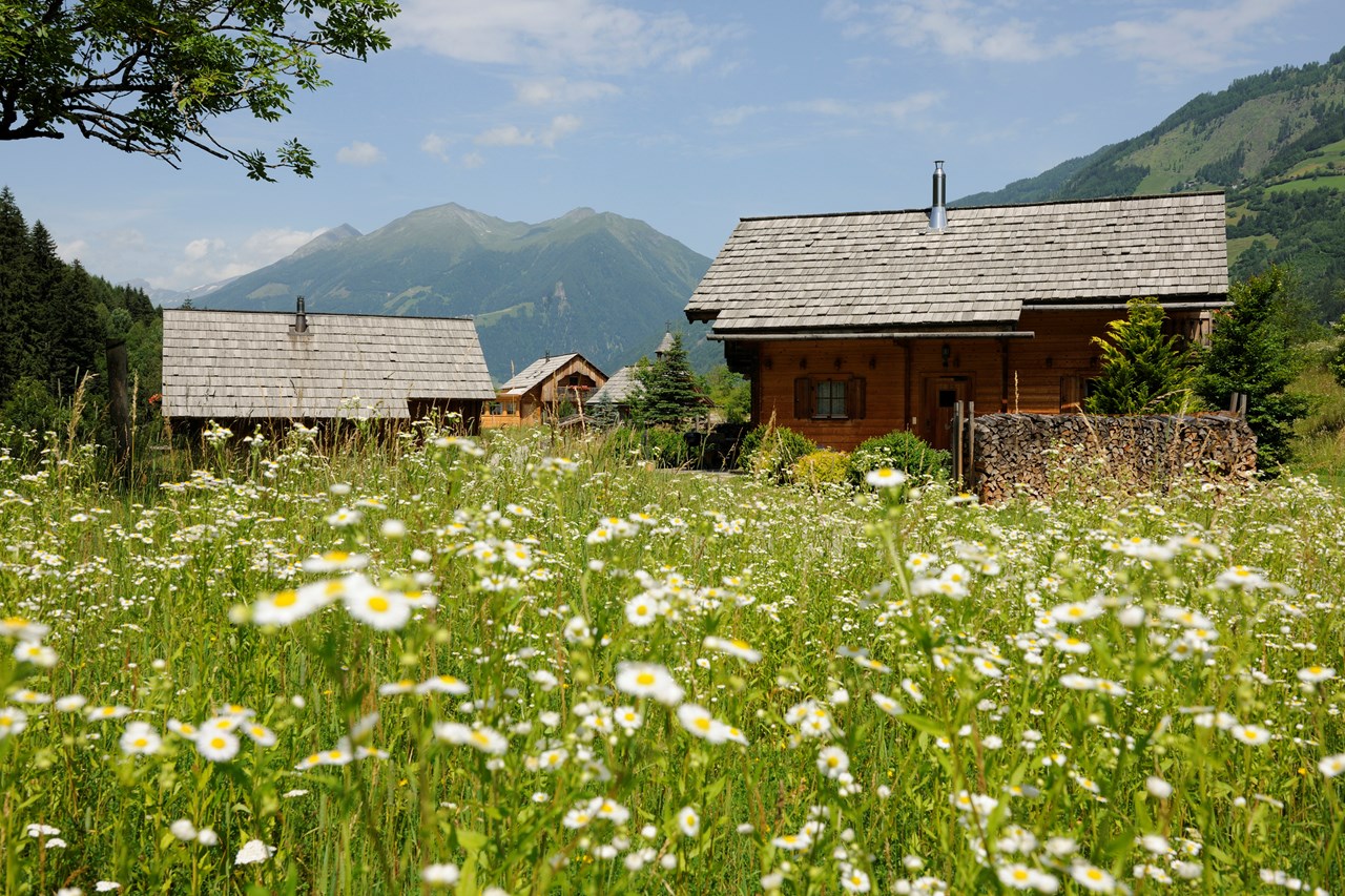 Landgut Moserhof Zimmerkategorien Premium Chalet