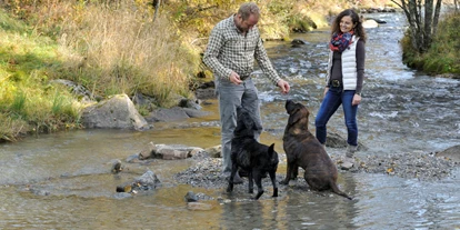 Hundehotel - Besorgung Hundefutter - Hohe Tauern - Hundebadestrand - Landgut Moserhof