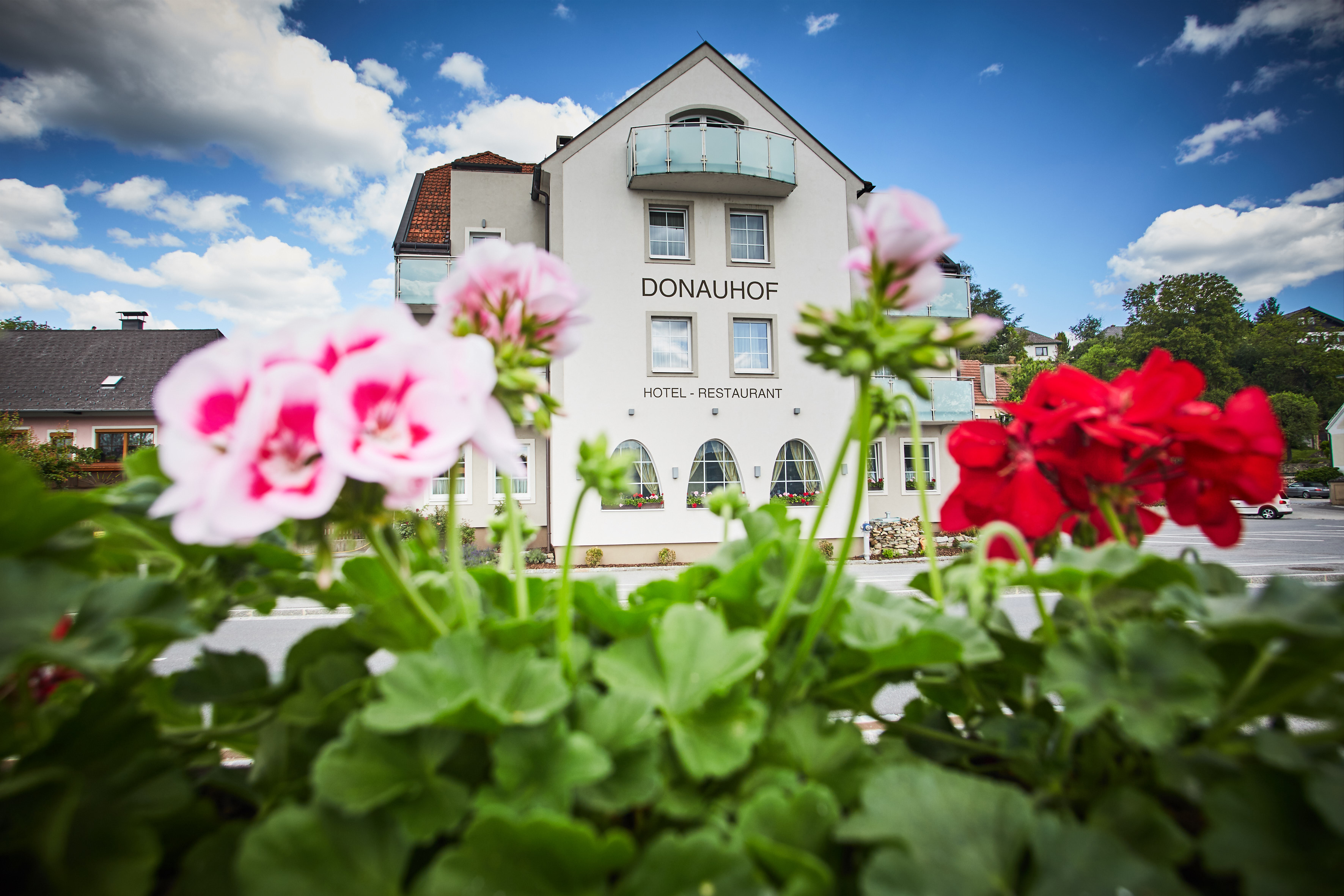 Hundehotel - Niederösterreich - Hotel & Restaurant Donauhof
