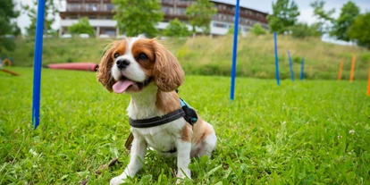 Hundehotel - Pools: Schwimmteich - Urlaub mit Hund im Larimar - Hotel & Spa Larimar****S