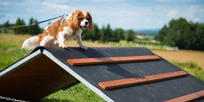 Hundehotel - Pools: Schwimmteich - Larimar-Agility-Parcours - Hotel & Spa Larimar****S