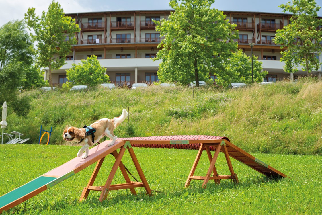 Urlaub-mit-Hund: Urlaub mit Hund im Larimar - Hotel & Spa Larimar****S