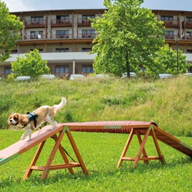 Urlaub-mit-Hund: Urlaub mit Hund im Larimar - Hotel & Spa Larimar****S