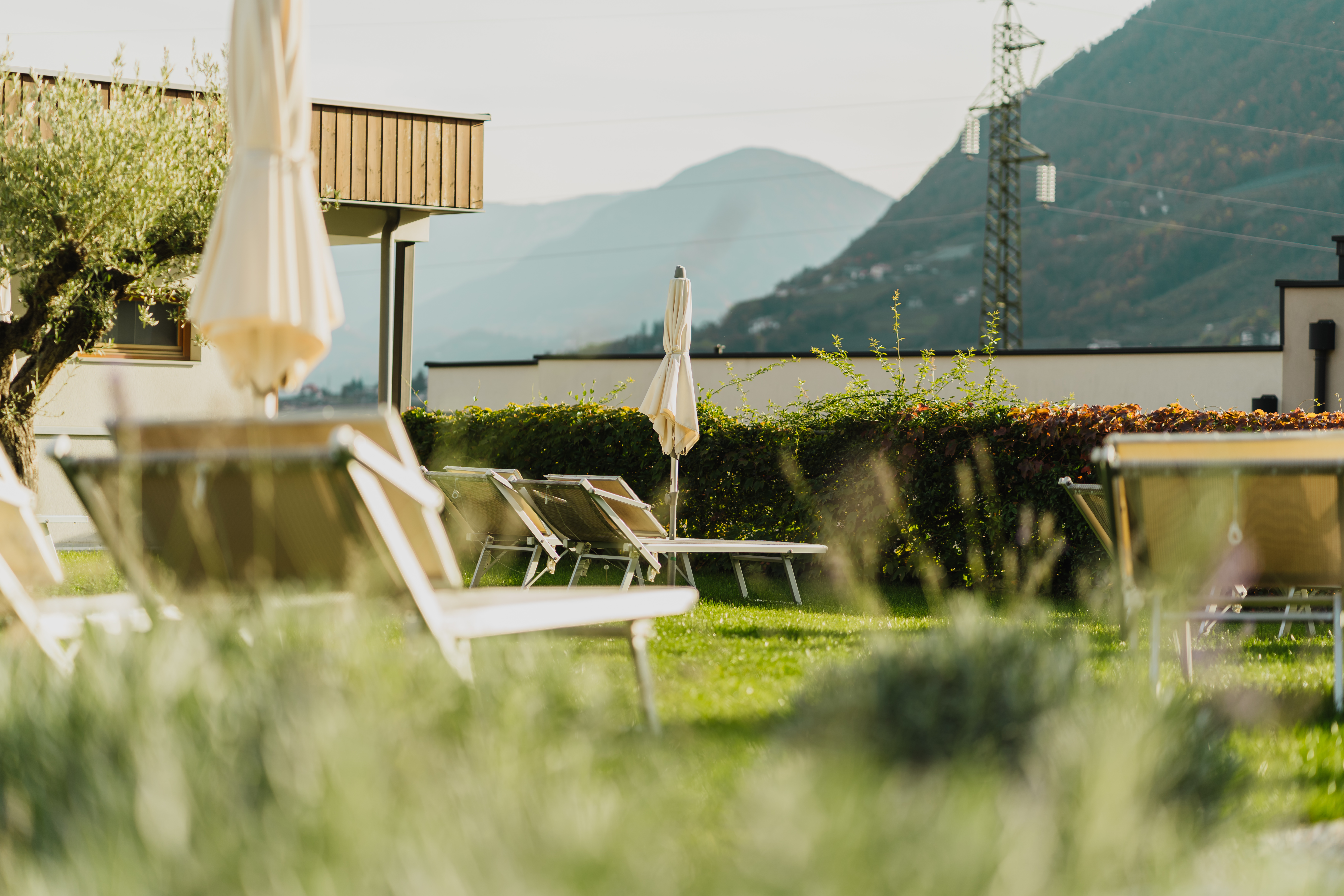 Urlaub-mit-Hund: Liegewiese - Hotel Der Heinrichshof & Residence 