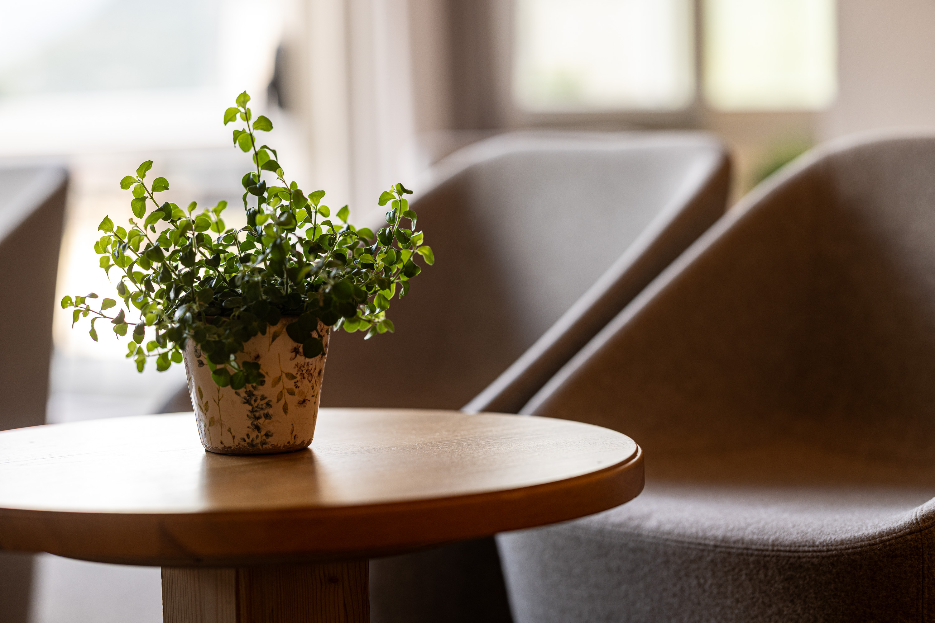 Urlaub-mit-Hund: Hotel & Residence Der Heinrichshof