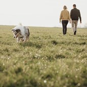 Urlaub-mit-Hund: Große Spielwiese hinter dem Hotel - Okelmann's