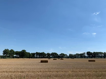Hundehotel - Verpflegung: Halbpension - Bremen-Stadt - Umgebung im Sommer - Okelmann's