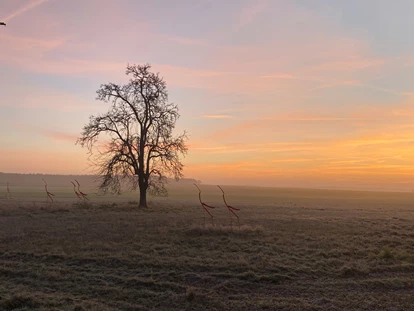 Hundehotel - Verpflegung: Halbpension - Bremen-Stadt - Sonnenaufgang vorm Hotel - Okelmann's