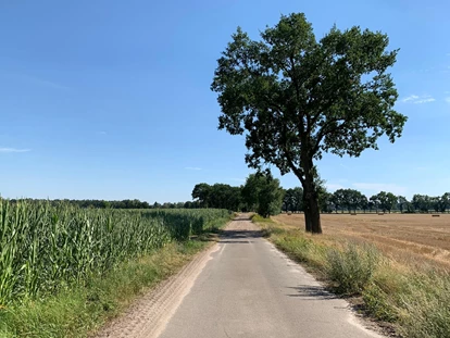 Hundehotel - Verpflegung: Halbpension - Bremen-Stadt - Umgebung im Sommer - Okelmann's