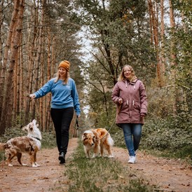 Urlaub-mit-Hund: Spaziergang im Warper Wald - Okelmann's