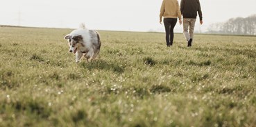 9 hundehotels fur den urlaub mit hund in weserbergland harz finden