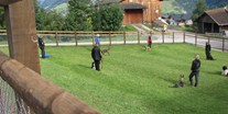 Hundehotel - Arosa - Eingezäunter Hundeplatz vor dem Hotel zum Spielen oder Trainieren. - Hotel Gravas Lodge