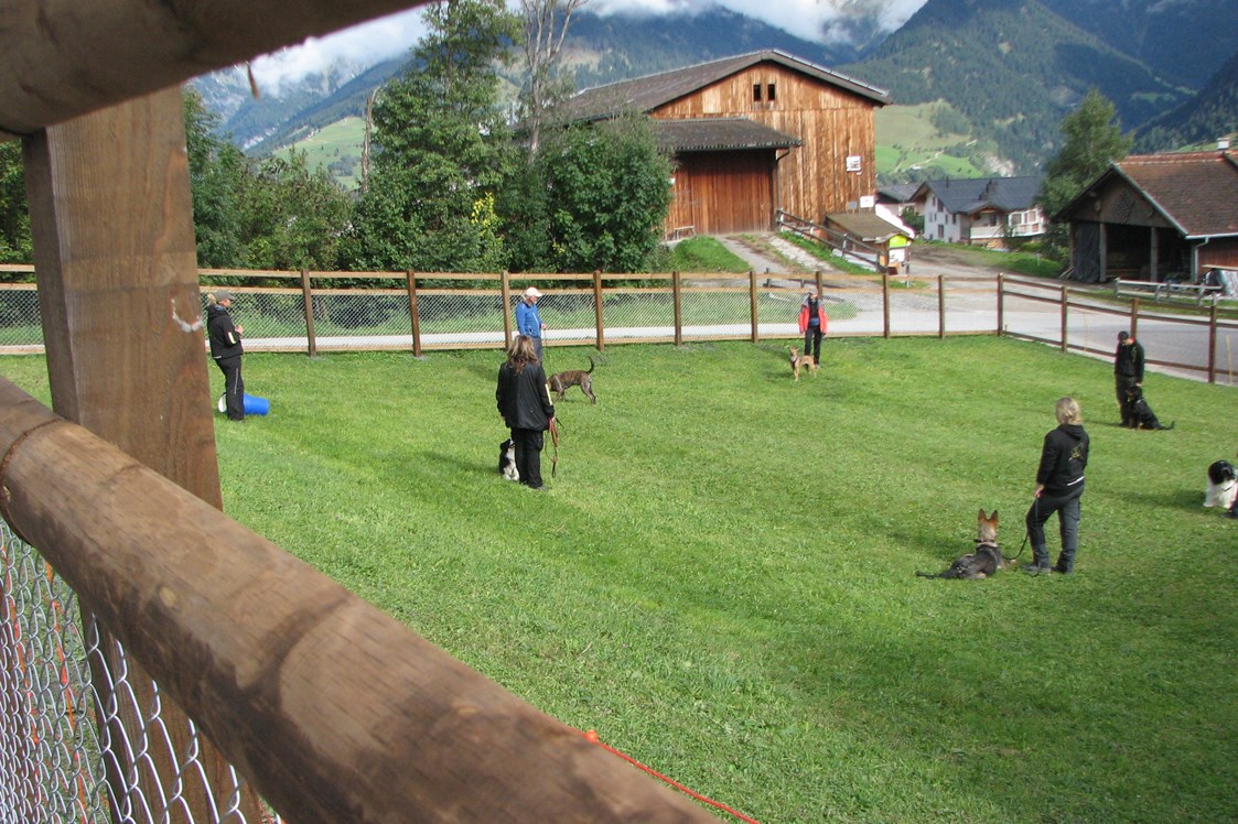Urlaub-mit-Hund: Eingezäunter Hundeplatz vor dem Hotel zum Spielen oder Trainieren. - Hotel Gravas Lodge