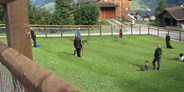 Hundehotel - Graubünden - Eingezäunter Hundeplatz vor dem Hotel zum Spielen oder Trainieren. - Hotel Gravas Lodge