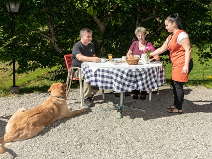 Hundehotel - Unterkunftsart: Hotel - Bodio TI - Nicht ohne meinen Hund - Hotel Gravas Lodge