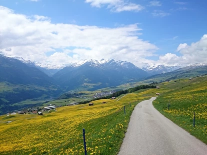 Hundehotel - Unterkunftsart: Hotel - Bodio TI - Bergfrühling - Hotel Gravas Lodge