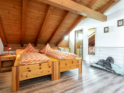 Hundehotel - Unterkunftsart: Hotel - Bodio TI - Hundebox gratis auf Wunsch des Hundeführers - Hotel Gravas Lodge