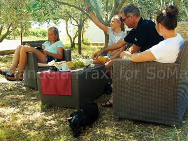 Urlaub-mit-Hund: Entspannt im Olivengarten - Olive House