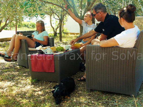 Urlaub-mit-Hund: Entspannt im Olivengarten - Olive House