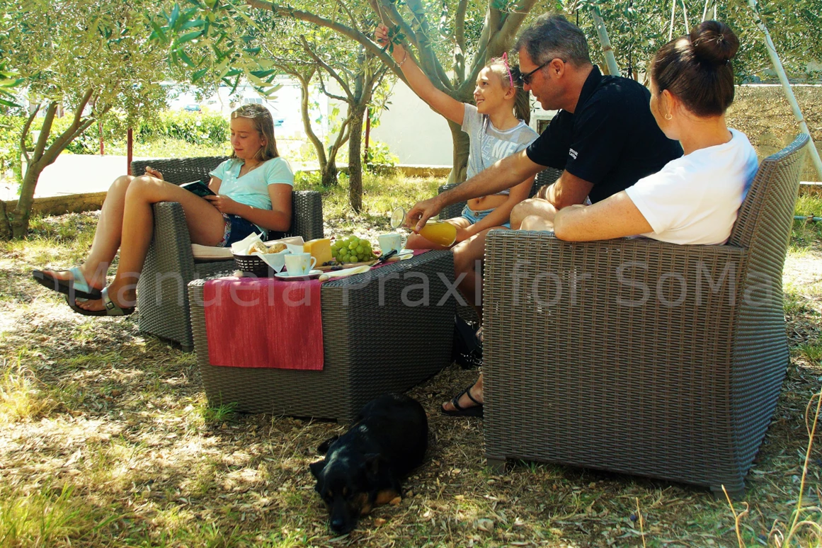 Urlaub-mit-Hund: Entspannt im Olivengarten - Olive House