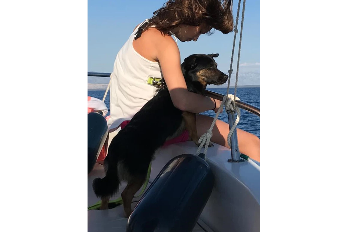 Urlaub-mit-Hund: Käpt´n Newton gibt den Kurs an.  - Olive House