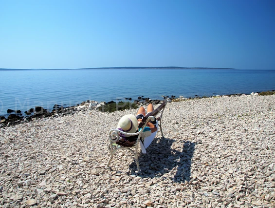 Urlaub-mit-Hund: Absolute Ruhe genießen - Olive House