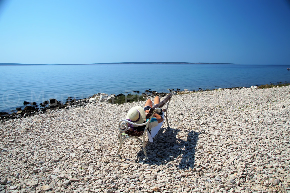 Urlaub-mit-Hund: Absolute Ruhe genießen - Olive House