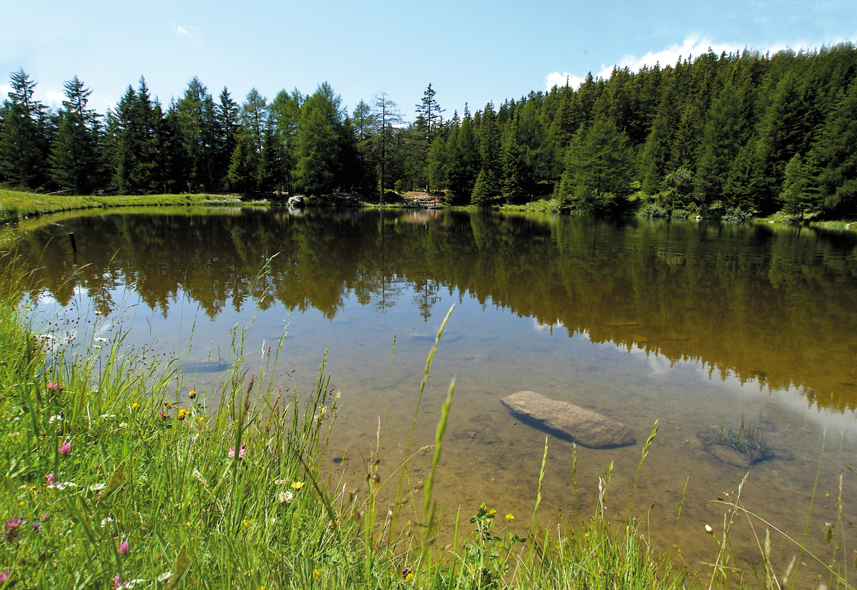 Hundehotel Riederhof Ausflüge mit Hund Wandern mit Hund zum See