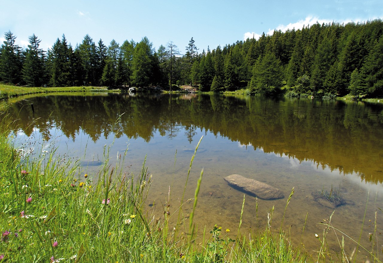 Hundehotel Riederhof Ausflüge mit Hund Wandern mit Hund zum See