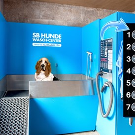 Hundehotel: Unsere hoteleigene Hundewaschanlage verspricht Wellness für Ihren Hund - Hundehotel  & Kulinarik Riederhof