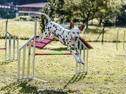 Hundehotel - Ladis - Action auf der Hundewiese - Unsere Agility Geräte sind neben unserem hoteleigenen Hundebadeteich das Highlight für unsere vierbeinigen Gäste - Hundehotel Riederhof