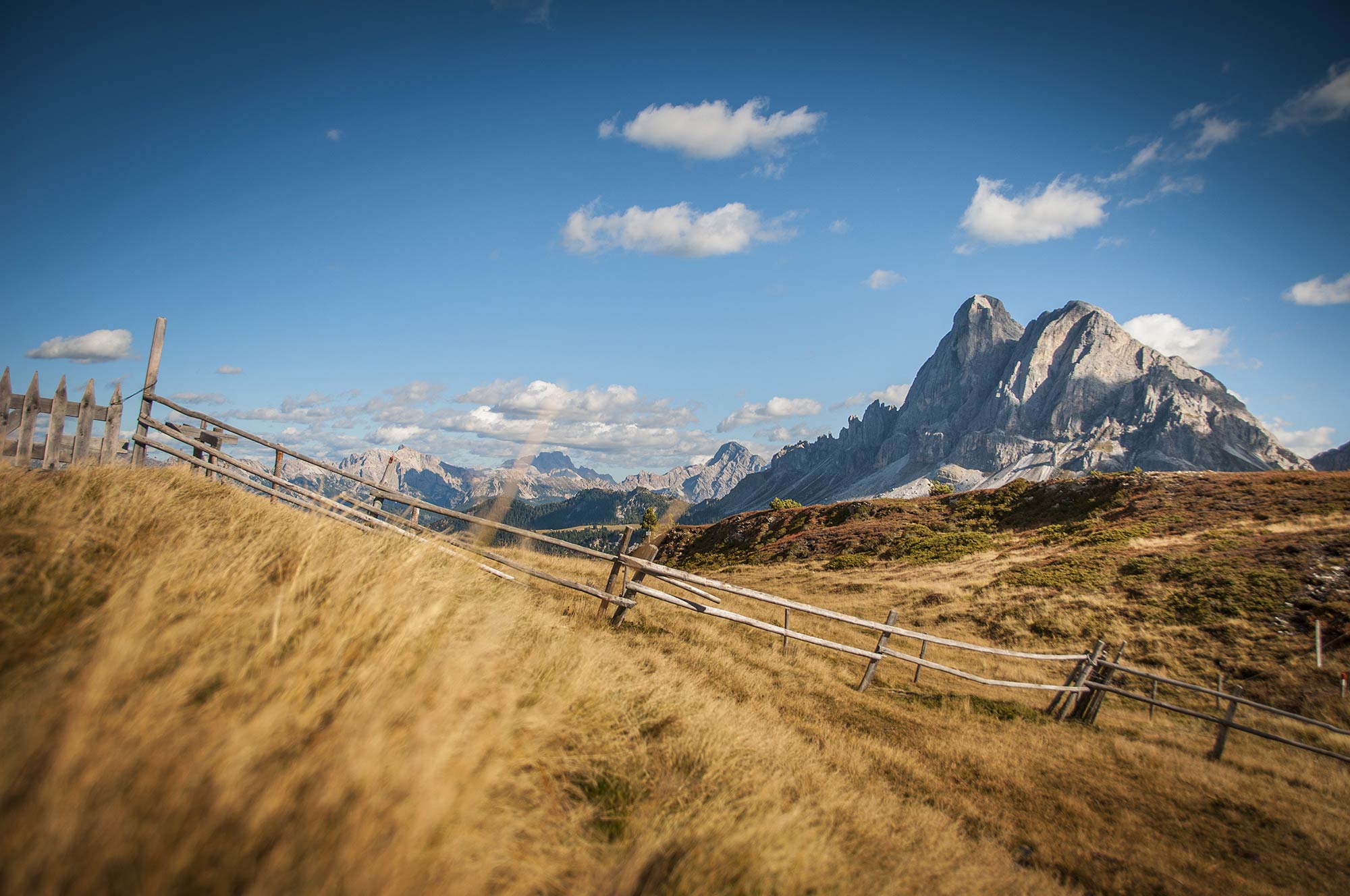 Urlaub-mit-Hund: Aktiv- und Vitalhotel Taubers Unterwirt