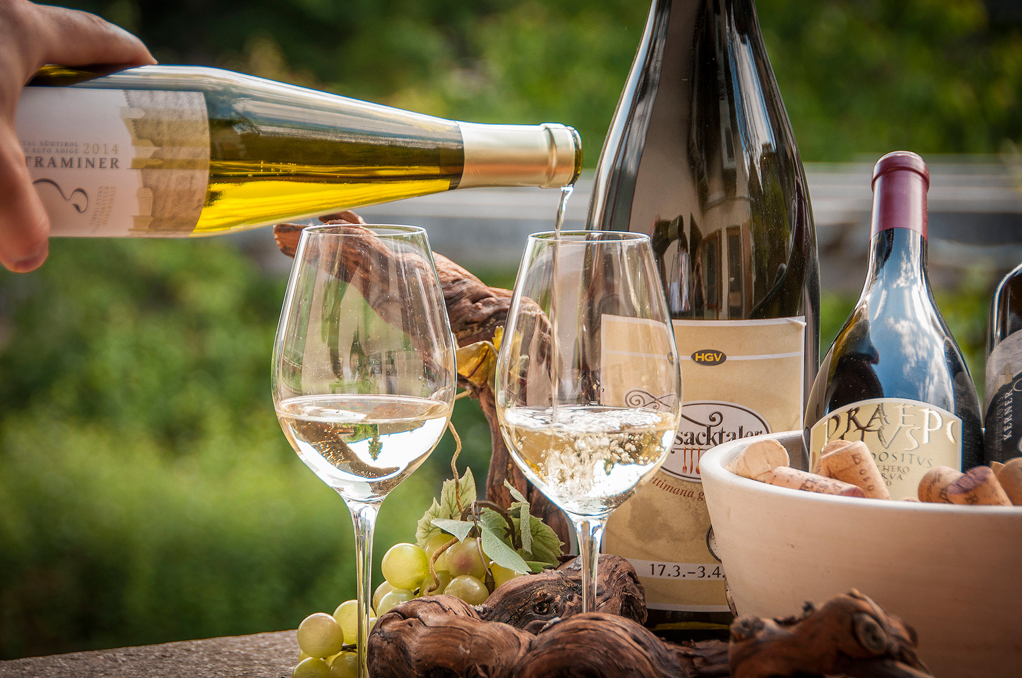 Urlaub-mit-Hund: Aktiv- und Vitalhotel Taubers Unterwirt