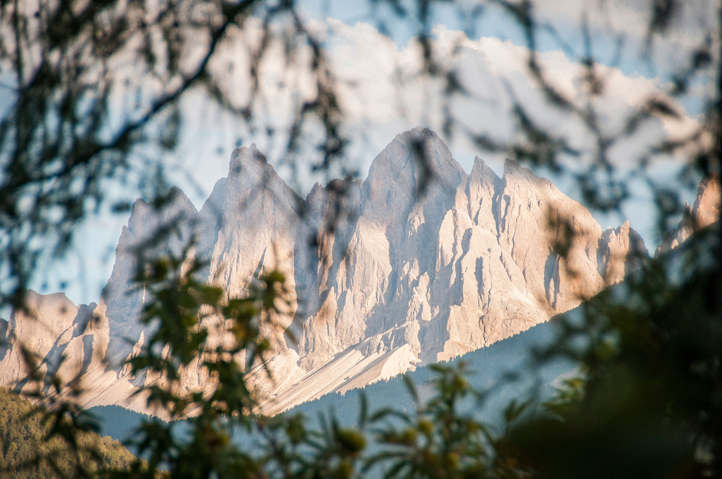 Urlaub-mit-Hund: Aktiv- und Vitalhotel Taubers Unterwirt
