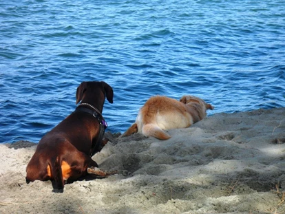 Hundehotel - Trink-/Fressnapf: an der Rezeption - Ferrara - Badespaß für Ihren Hund - Feriendorf Spiaggia Romea
