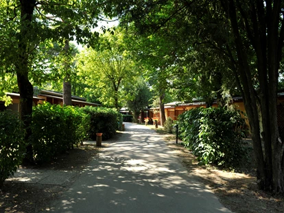 Hundehotel - Trink-/Fressnapf: an der Rezeption - Ferrara - Unsere Anlage - Feriendorf Spiaggia Romea