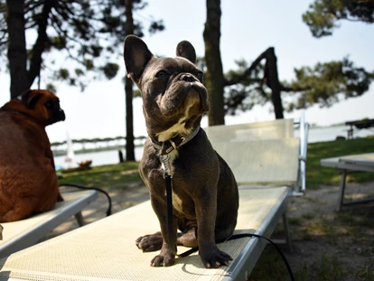 Hundehotel - Trink-/Fressnapf: an der Rezeption - Ferrara - Feriendorf Spiaggia Romea