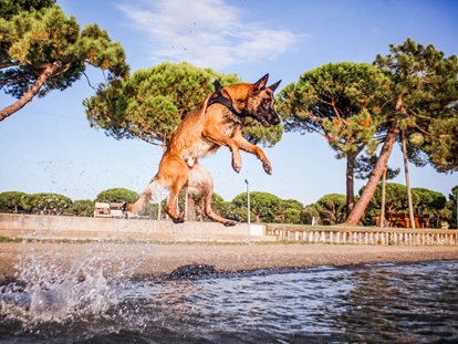 Hundehotel - Trink-/Fressnapf: an der Rezeption - Ferrara - Feriendorf Spiaggia Romea