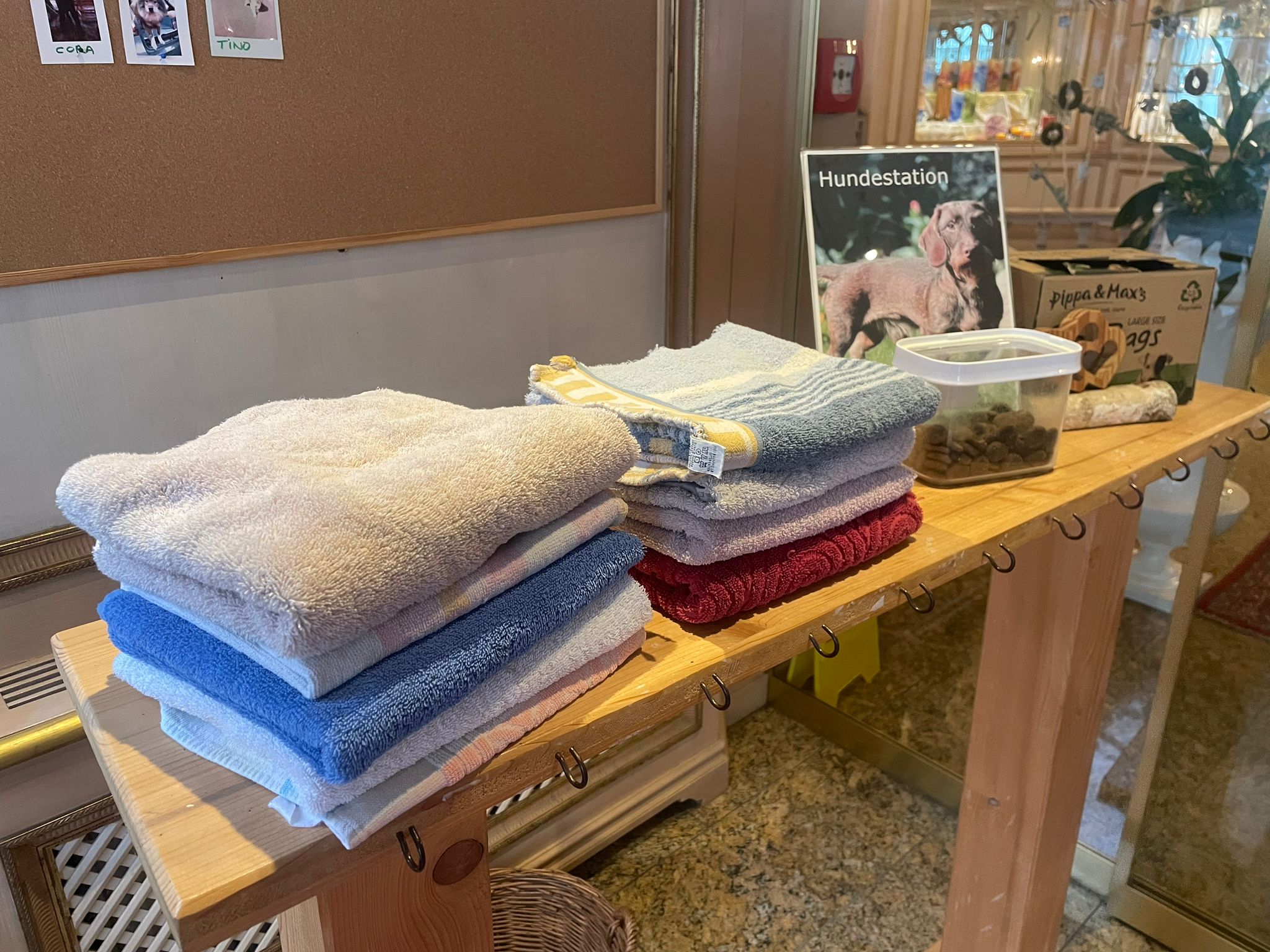 Hundehotel - Hessen - Best Western Hotel Rhön Garden