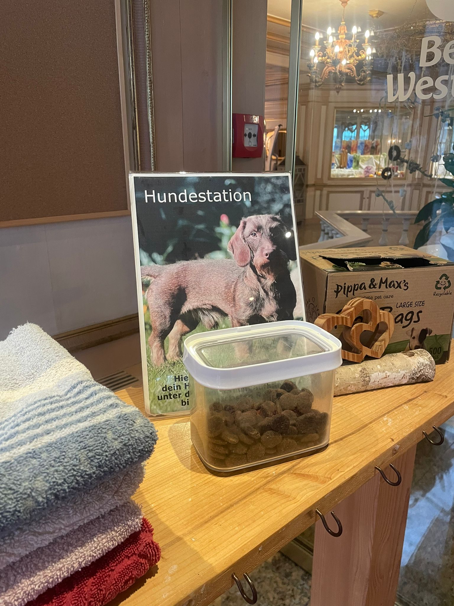 Hundehotel - Hessen - Best Western Hotel Rhön Garden