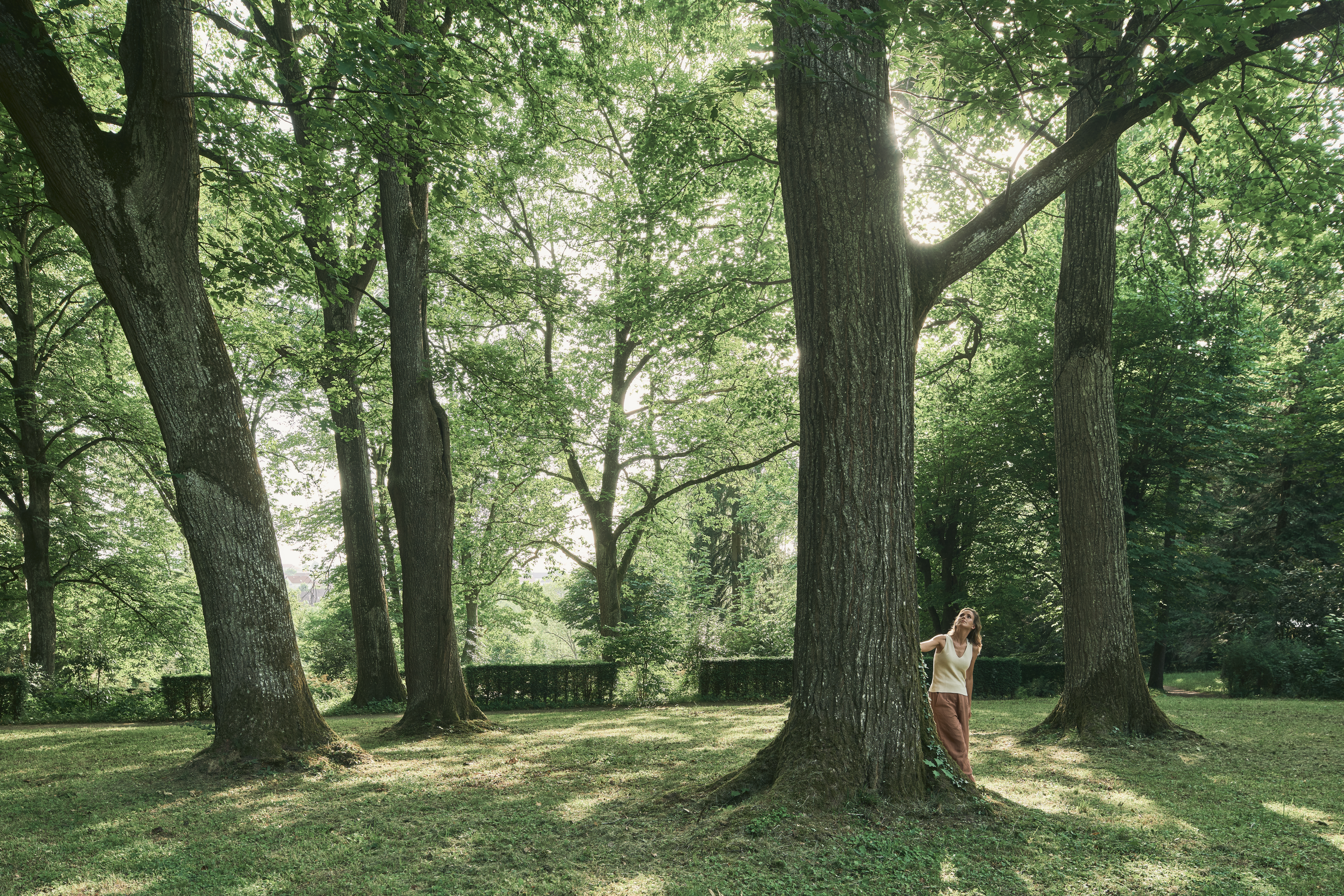 Hundehotel - Oberösterreich - Landesvilla im EurothermenResort Bad Hall