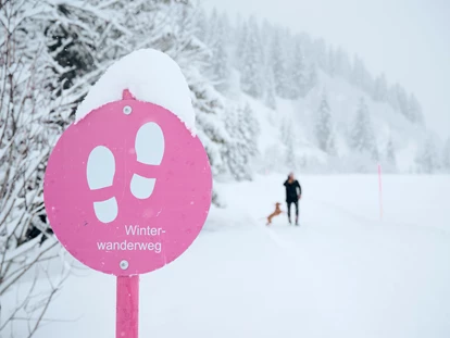 Hundehotel - Doggies: 3 Doggies - Winterwanderweg direkt in Stuben - **** Hotel Hubertushof