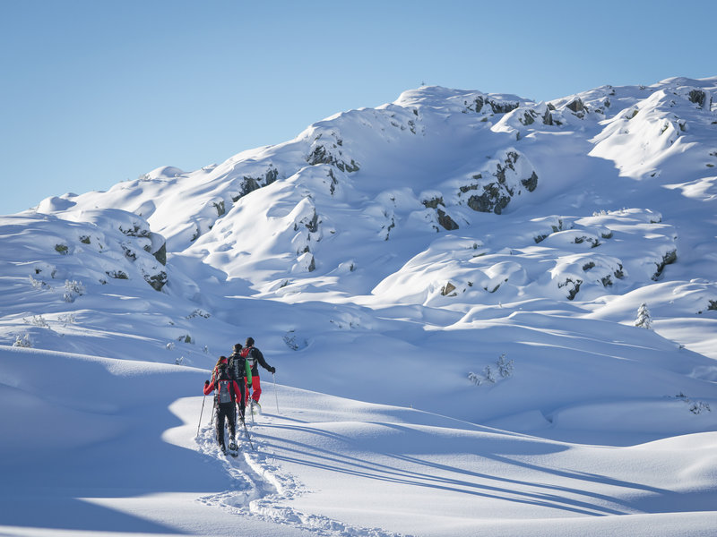 Urlaub-mit-Hund: Schneeschuhwandern in den Bergen - **** Hotel Hubertushof 