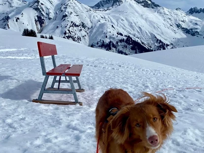 Hundehotel - Doggies: 3 Doggies - Wir sehen uns im Hubertushof in Stuben am Arlberg! - **** Hotel Hubertushof