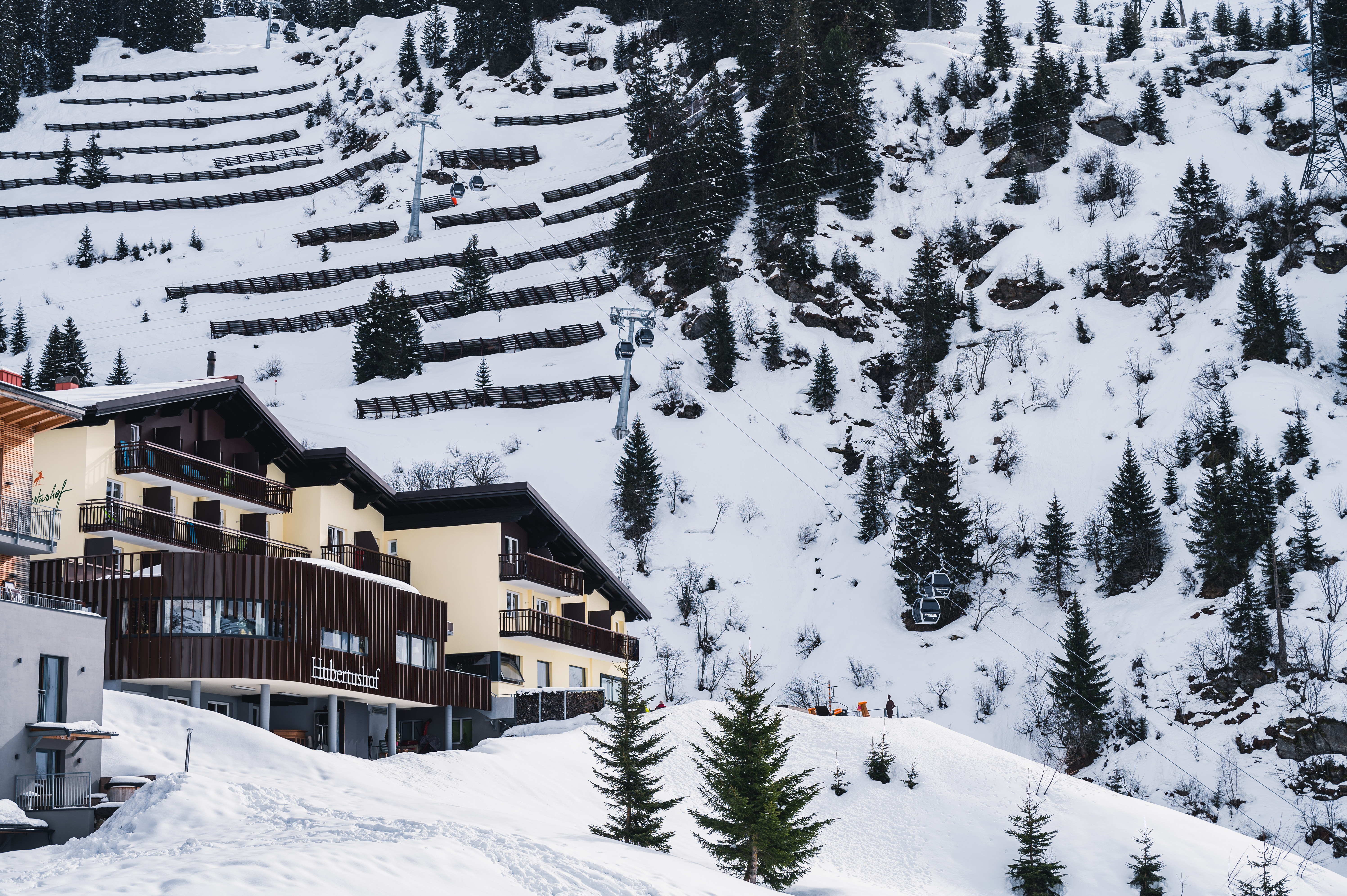 Urlaub-mit-Hund: vom Hotel direkt auf die Piste und retour - **** Hotel Hubertushof 