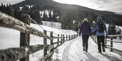 Hundehotel - Ebbs - Winterwandern - Hotel Gut Brandlhof