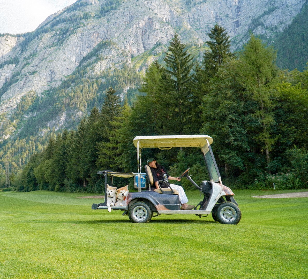 Urlaub-mit-Hund: Hunde - Hotel Gut Brandlhof