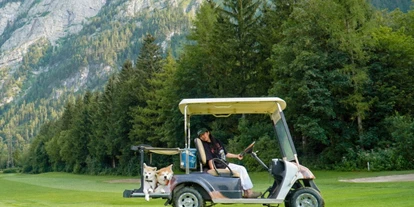 Hundehotel - Ebbs - Hunde - Hotel Gut Brandlhof
