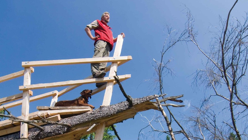 Hotel Hubertushöhe Ausflüge mit Hund Kyrill-Pfad Schanze