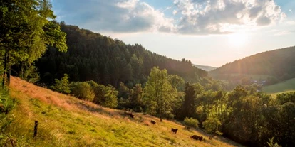 Hundehotel - Ladestation Elektroauto - Sauerland - am Rothaarsteig in Latrop - Hotel Hubertushöhe